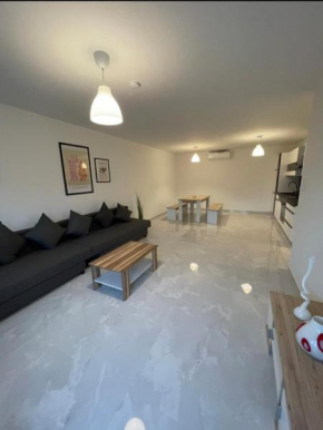 Fancy Big Apartment